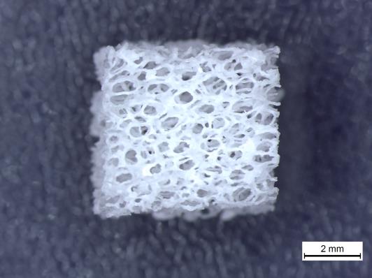 Towards entry "Electrophoretic deposition of composite coatings on magnesium as a temporary bone implant"