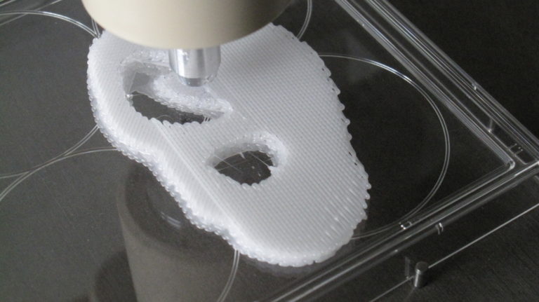 Prof. Aldo R. Boccaccini and Dr. Rainer Detsch in newly established Guidelines Committee for Bioprinting