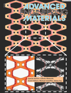 Towards entry "“Deformation Behavior of 2D Composite Cellular Lattices of Ceramic Building Blocks and Epoxy Resin”"