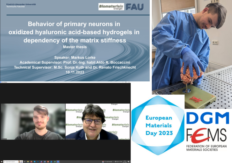 PhD student wins presentation award at European Materials Day of the German Materials Society